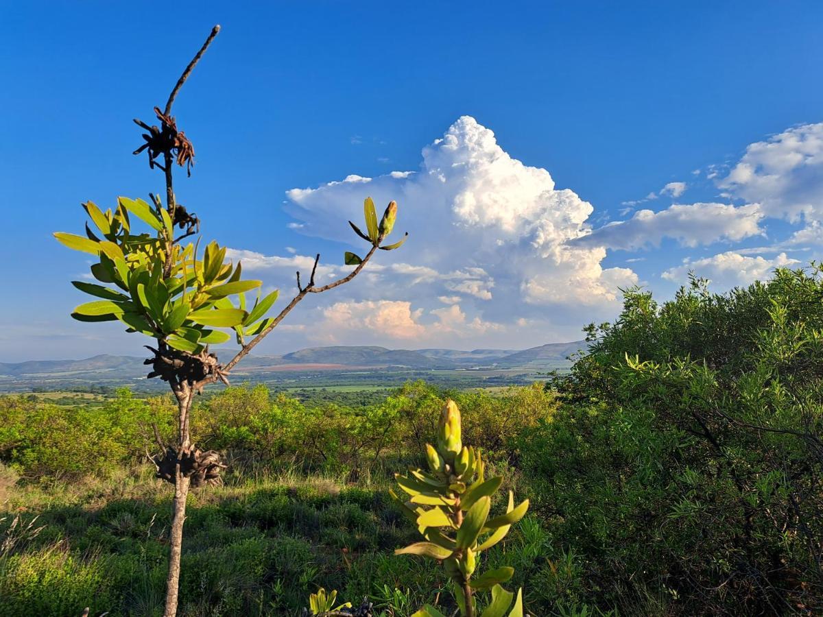 Remhoogte Mountain Lodge Jacksonstuin Dış mekan fotoğraf