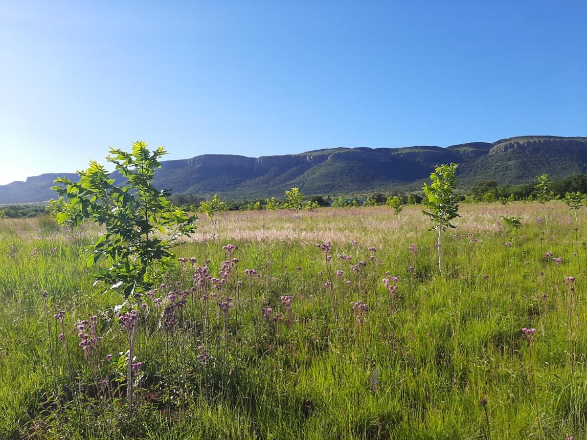 Remhoogte Mountain Lodge Jacksonstuin Dış mekan fotoğraf